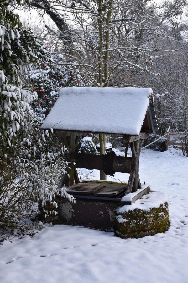 Manoir Le Courtillon Le Pont Rean Esterno foto