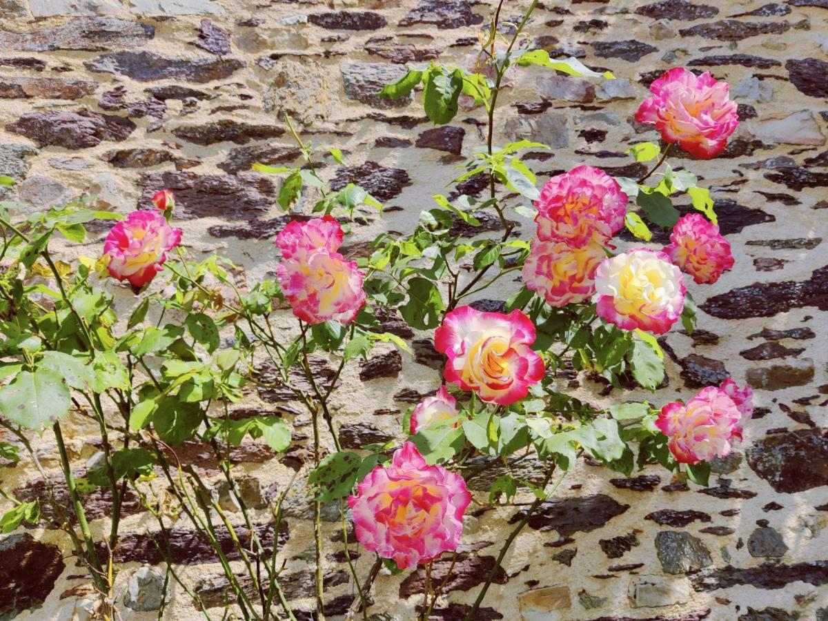 Manoir Le Courtillon Le Pont Rean Esterno foto